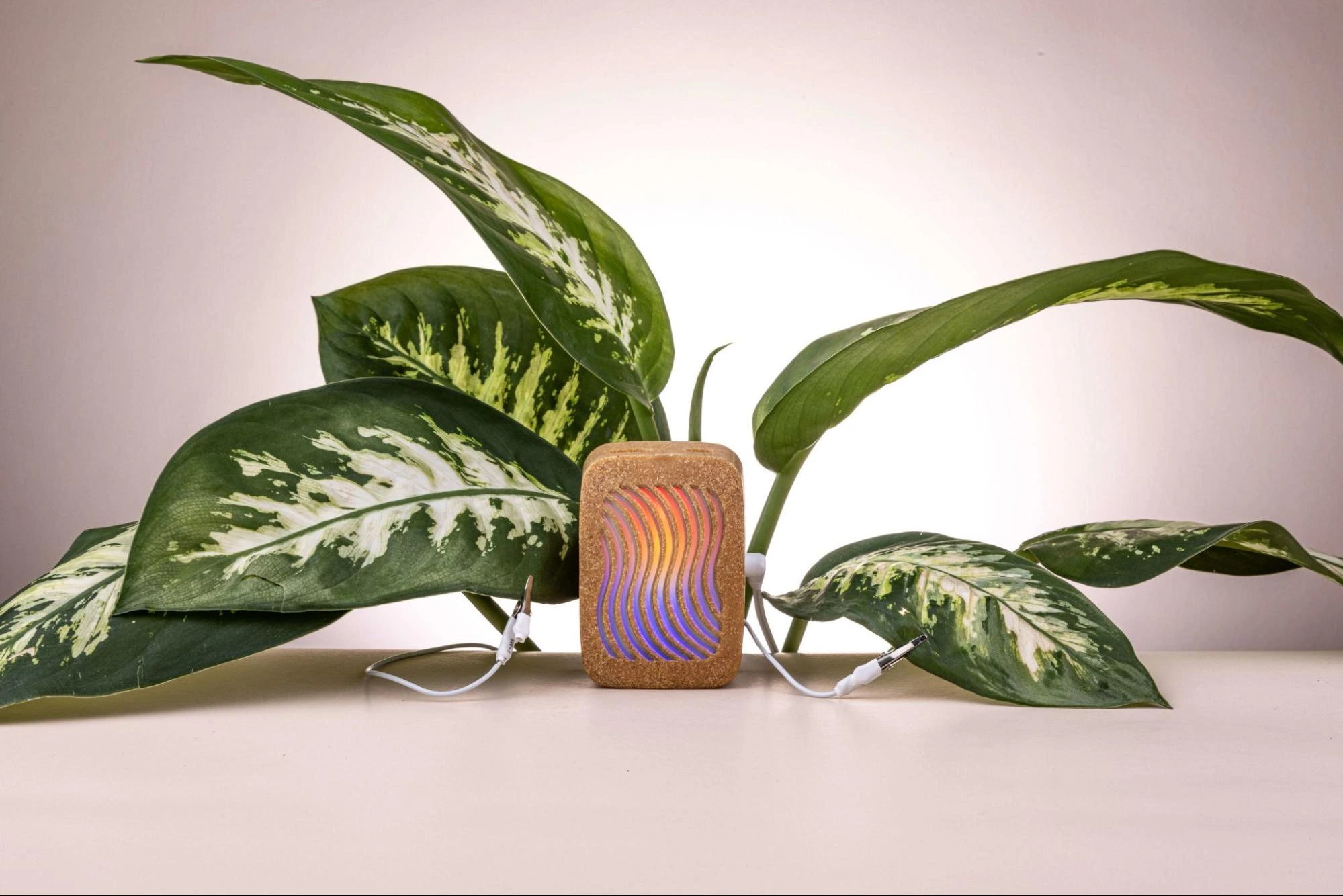 PlantWave Links Plant-Generated Music to Real-World Environmental Funding