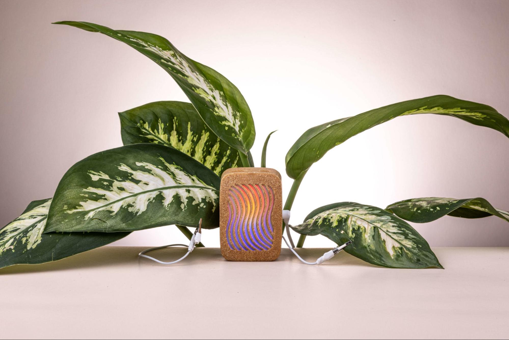 PlantWave Links Plant-Generated Music to Real-World Environmental Funding