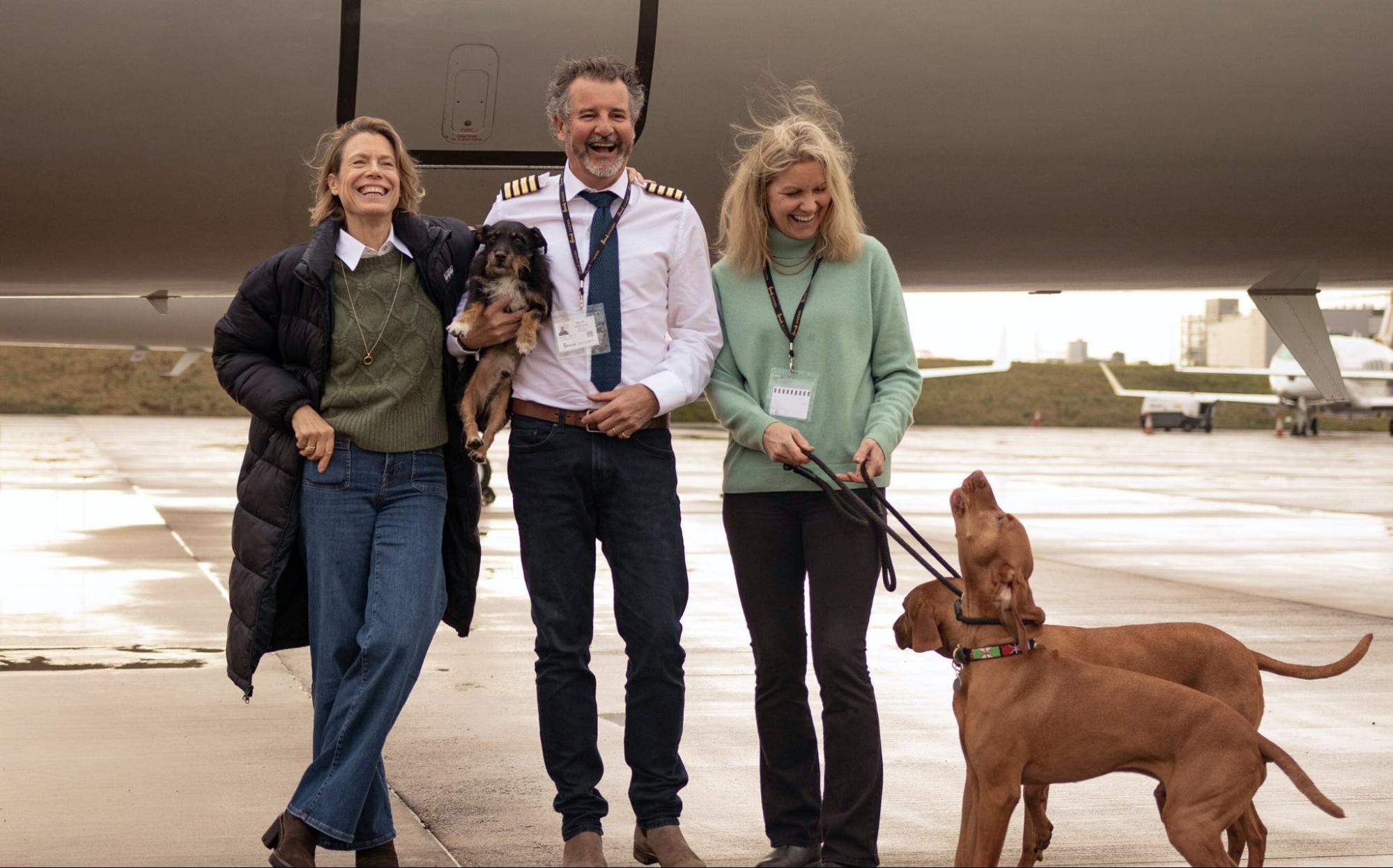 Vicuna Air Introduces “Biscuit Class” for Solo In-Cabin Pet Flights