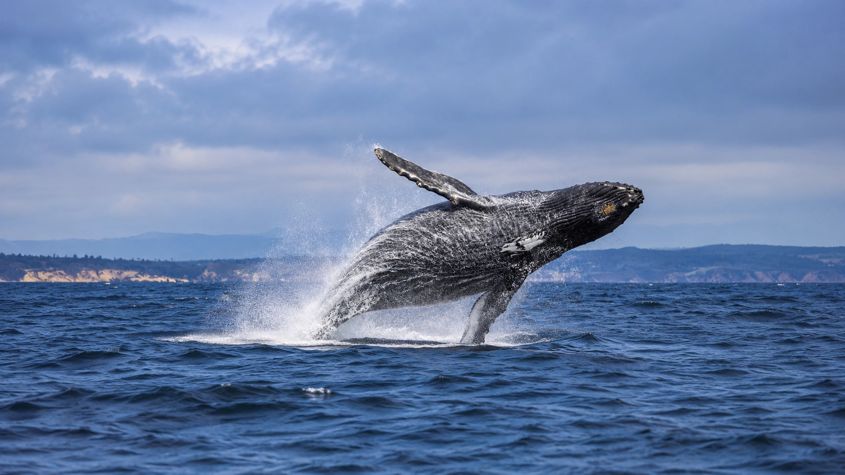 Monterey Hospitality Shifts the Focus From Lodging to Local Experiences