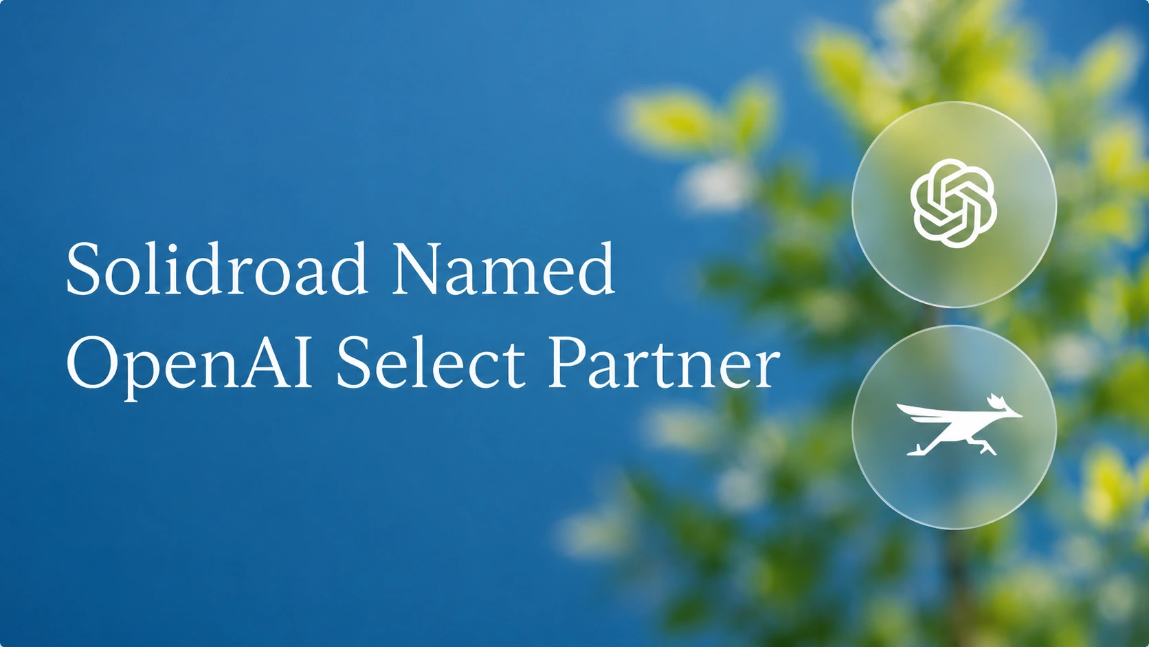 Solidroad’s OpenAI Partnership Highlights the Next Phase of AI Oversight
