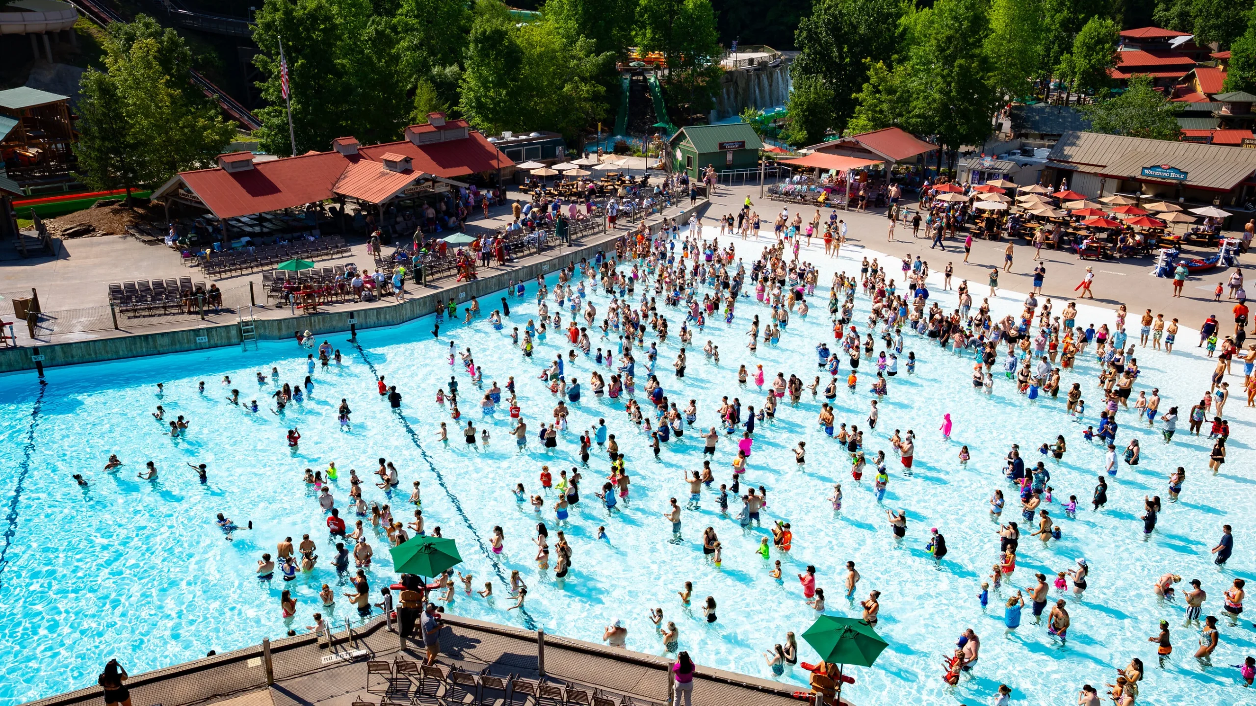 World’s Largest Swimming Lesson Turns Water Safety Into a Global Community Effort