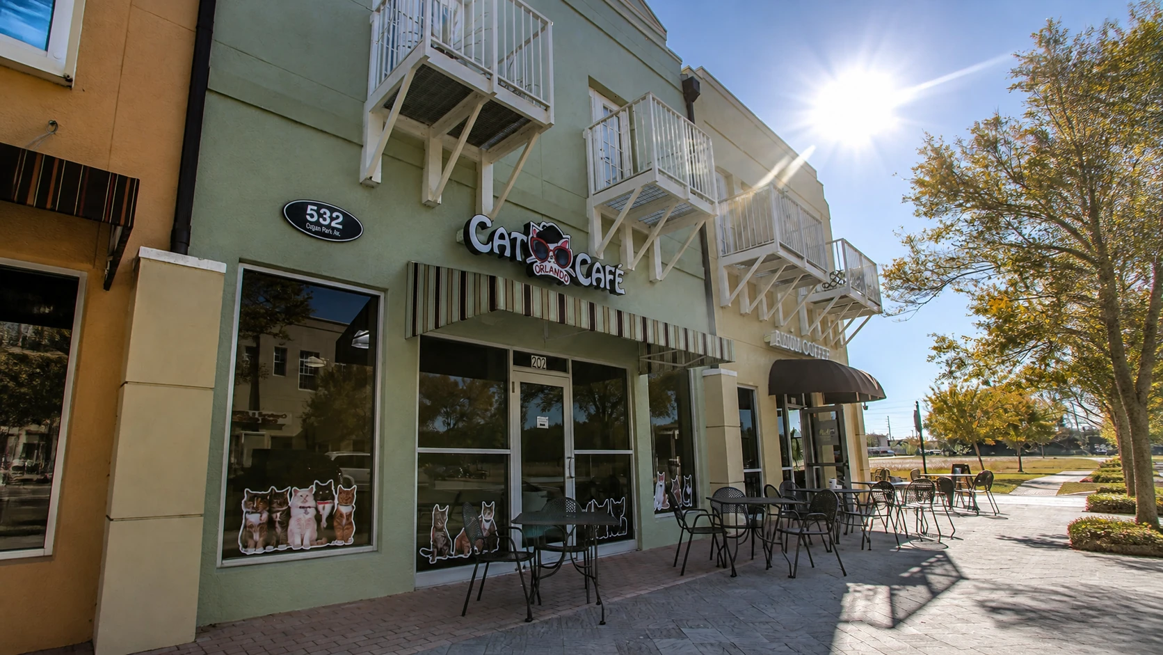 Orlando Cat Café Takes Its Adoption-Focused Model to Dallas Through Franchising
