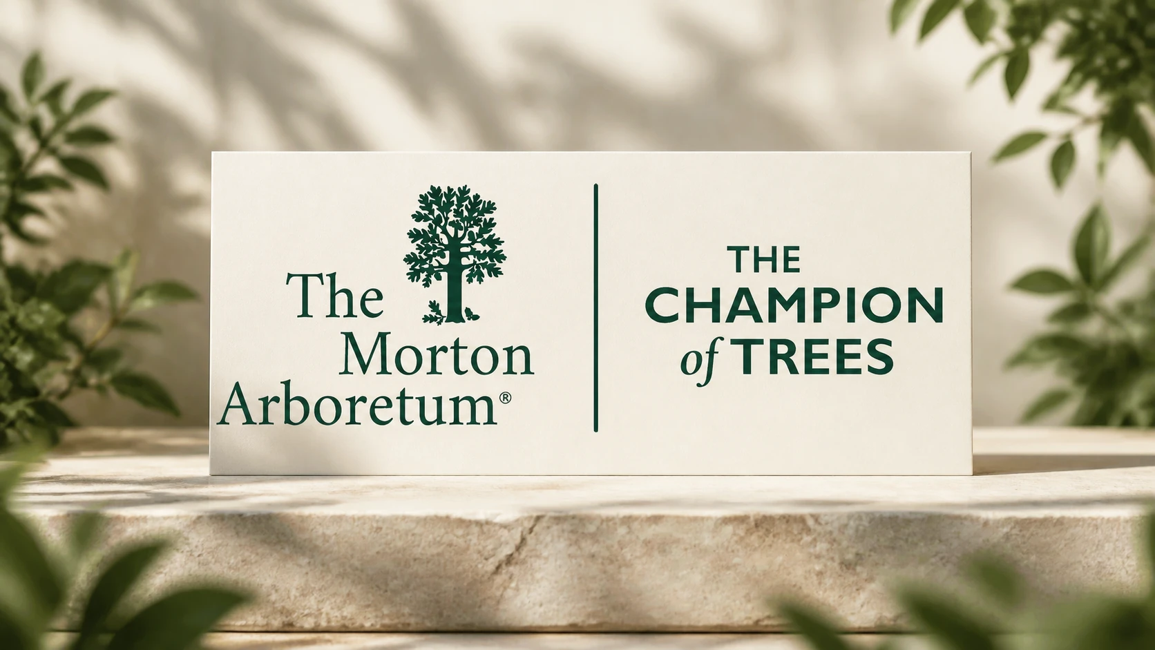 Morton Arboretum Builds Cultural Connections Through Hispanic Heritage Month