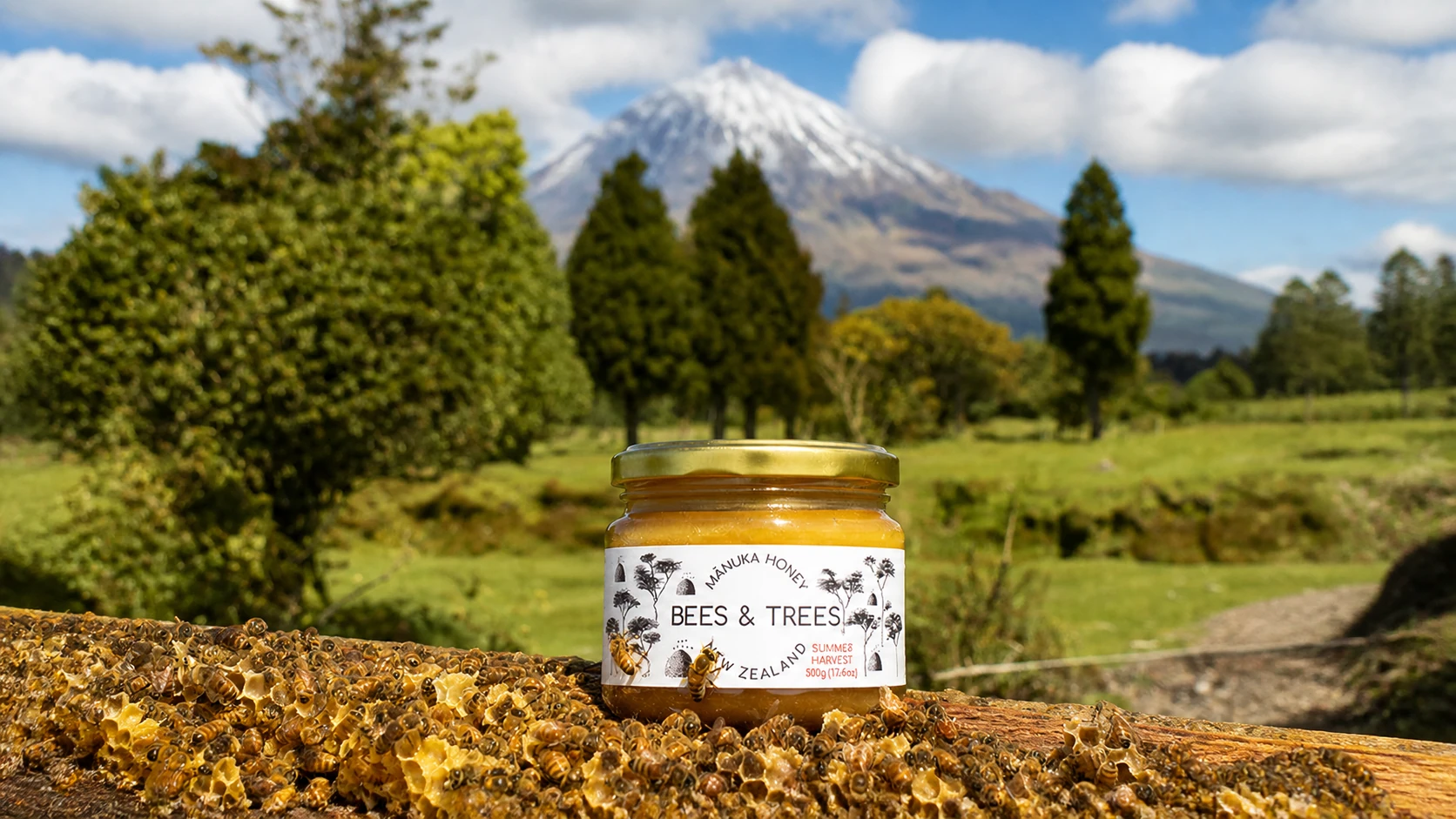 Bees & Trees Marks 15 Years With Hive-To-Jar Focus